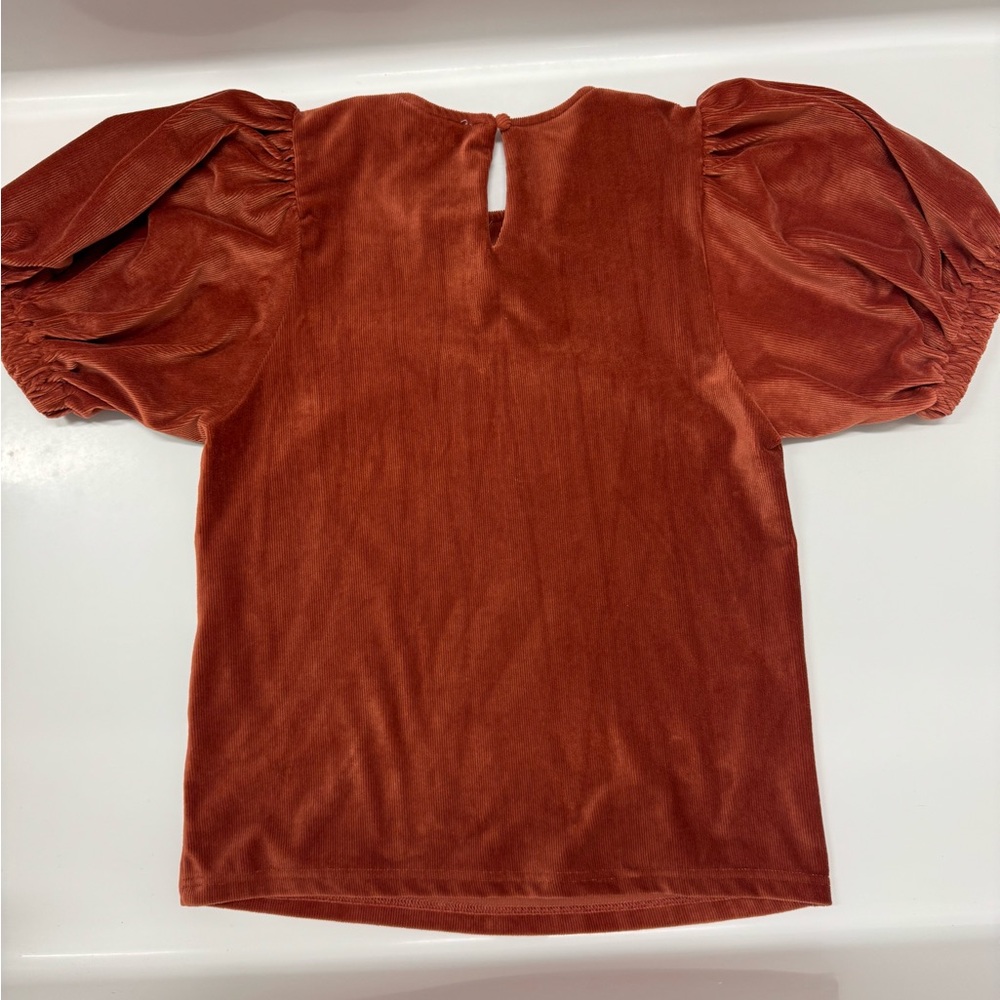 THML Rust Puff Sleeve Velvet Top – Size S - Picture 5 of 6